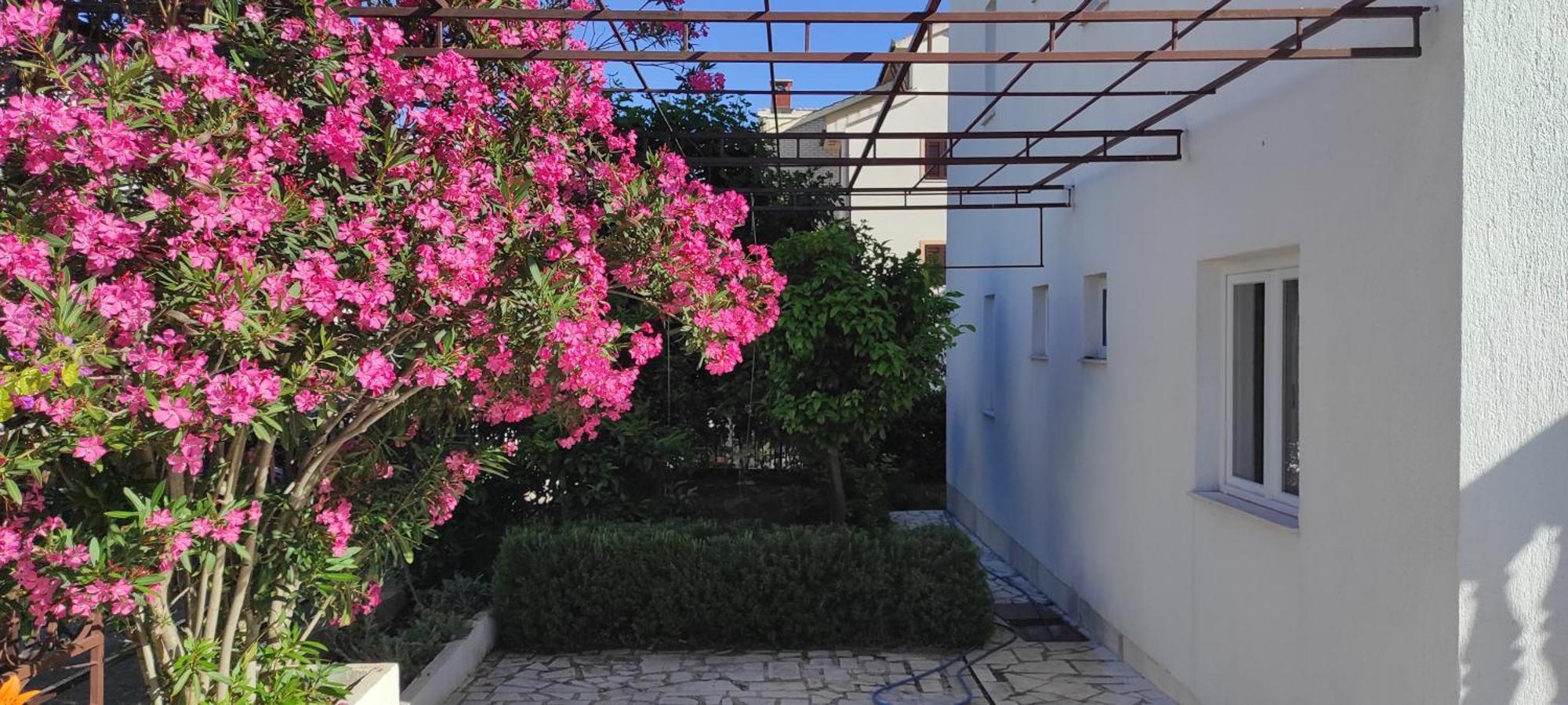 Villa Dusper Trogir Exterior photo